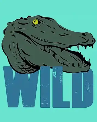 wildapalachciola.com